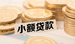 东莞短期哪里有小额贷款-东莞短期身份证贷款平台-东莞短期民间短借
